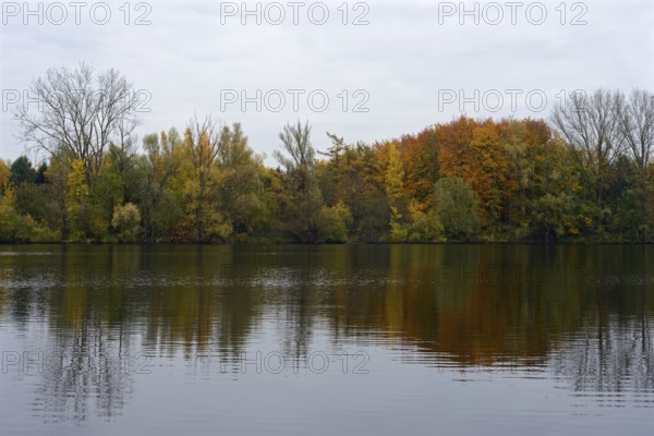 Bislicher Insel, still water, gravel excavation, Old Rhine, lake in autumn, autumn colours, quiet, idyllic picture, landscape, local nature, Wesel district, Rhineland, Lower Rhine, North Rhine-Westphalia, Germany, Western Europe