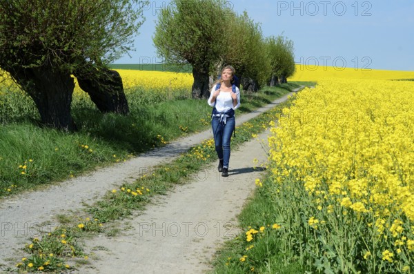 Young woman with backpack walking on a countryroad with willow trees and field of rape in Skivarp, SkÃ¥ne County, Sweden