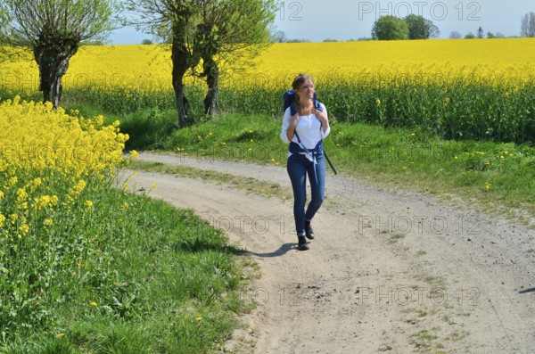 Young woman with backpack walking on a countryroad with willow trees and field of rape in Skivarp, SkÃ¥ne County, South Sweden