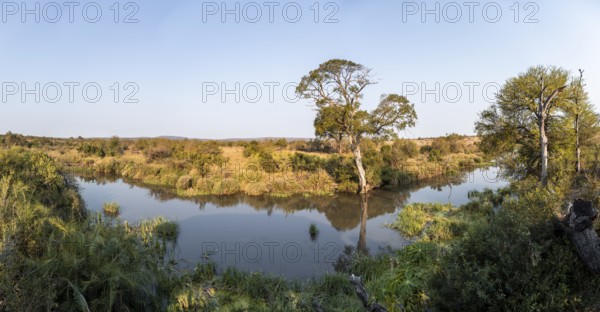 Idyllic river landscape, African savannah, Kruger National Park, South Africa