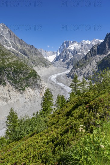 Picturesque mountain landscape with imposing mountain peaks and glaciers, Grand Balcon Nord, Mer de Glace glacier tongue, Grandes Jorasses at the back, Mont Blanc massif, Montenvers, Chamonix, Haute-Savoie, France