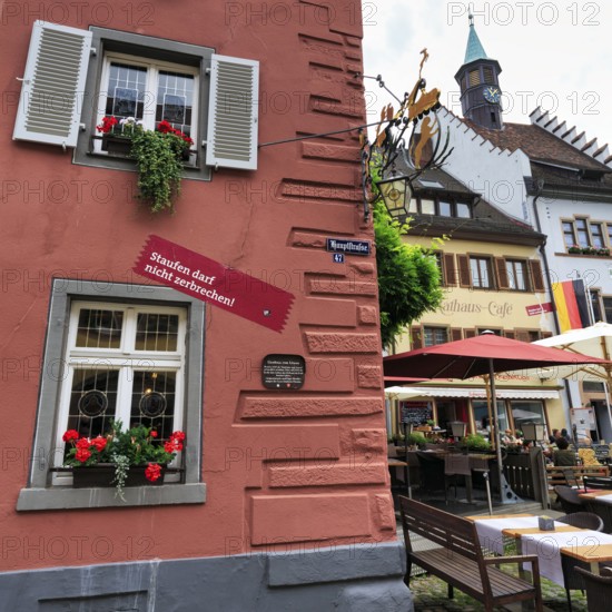 FaÃ§ade detail, Gasthaus zum Löwen, protest against cracks caused by geothermal drilling, Staufen im Breisgau, Germany