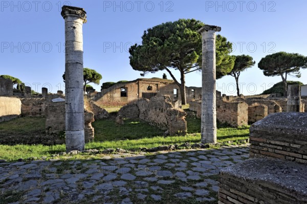 Ancient pavement of the street Cardo degli Aurighi, ruins, Ionic columns, remains, ancient port city of Rome, excavation site Archaeological Park Ostia Antica, metropolitan city of Rome, Lazio, Italy