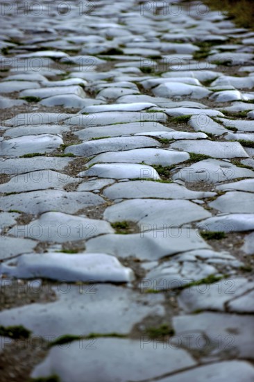 Ancient pavement of the main street Decumano Massimo, large paving stones, remains, ruins, ancient port city of Rome, excavation site Archaeological Park Ostia Antica, metropolitan city of Rome, Lazio, Italy