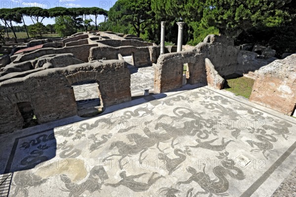 Ruins with mosaics on the floor of the Terme di Nettuno, thermal baths of the sea god Neptune, Roman bathhouse, ancient port city of Rome, excavation site Archaeological Park Ostia Antica, metropolitan city of Rome, Lazio, Italy
