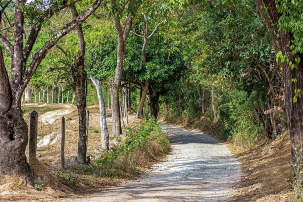 Road in rural area crossing farm in the interior of the state of Minas Gerais, Minas Gerais, Brazil
