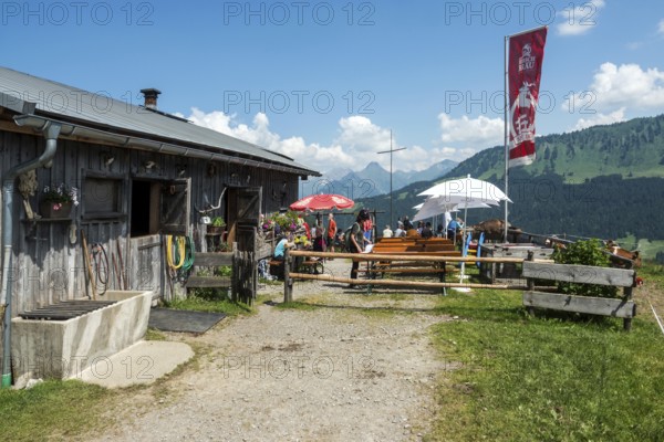 Osterberg Alpe, between Tiefenbach and Riezlern, OberallgÃ¤u, AllgÃ¤u, Bavaria, Germany