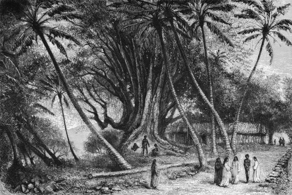 Landscape on the island, palm trees, giant trees, locals in conversation, wooden house, path, Pacific Ocean, Taiti, French overseas territory French Polynesia, historical illustration 1888