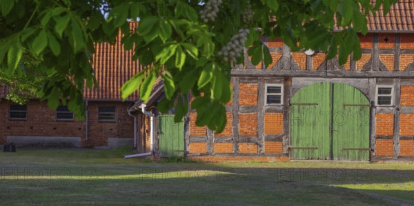 View through a chestnut tree to a part of a barn, Böhme, Heidekreis, Rethem Aller, Leine Aller Tal, Lower Saxony, Germany