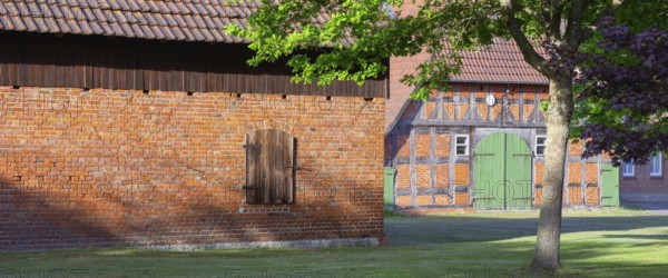 View through a chestnut tree onto a farm, Böhme, Heidekreis, Rethem Aller, Leine Aller Tal, Lower Saxony, Germany
