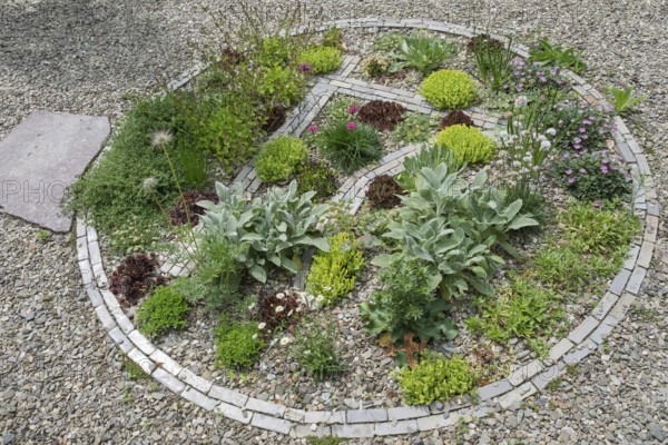Round gravel bed with various plants, North Rhine-Westphalia, Germany