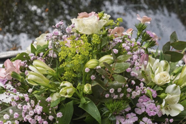 Flower arrangement on a bridal car, wedding car, raindrops, rain, MÃ¼nsterland, North Rhine-Westphalia, Germany
