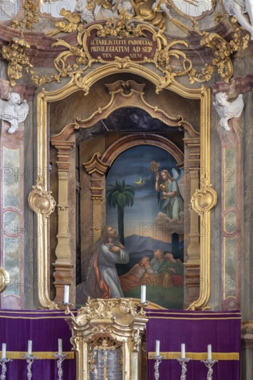 Backdrop altar in the baroque church of St Peter and Paul, Thalstr .31, Peterstahl, Oy Mittelberg, OberallgaÃ¼, Bavaria, Germany