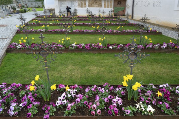Colourfully planted row graves in the cemetery of the Neustift St Margarethen monastery, Vahrn, district of Bozen, South Tyrol, Italy