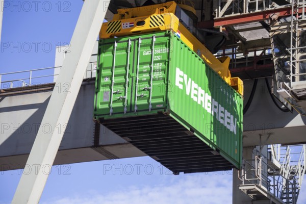 Mannheim: A container from the Evergreen container shipping company is loaded in the harbour