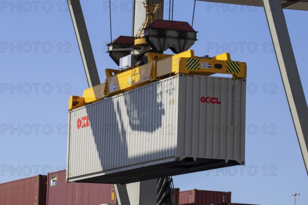 Mannheim: A container from the shipping company OOCL (Orient Overseas Container Line) is loaded in the harbour