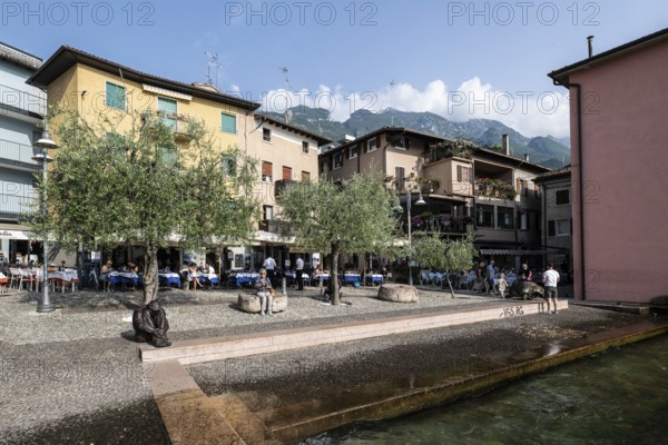Malcesine, old harbour, Veneto, Italy