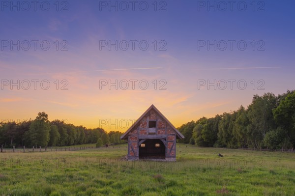 View of an open half-timbered barn standing on a pasture in the sunset, meadow, spring, awakening, new, colours, season, landscape photo, nature photo, flora, fauna, landscape format, pasture, grasses, lowland, sky, clouds, Stöckse, Steimbke, Nienburg Weser, Lower Saxony, Germany