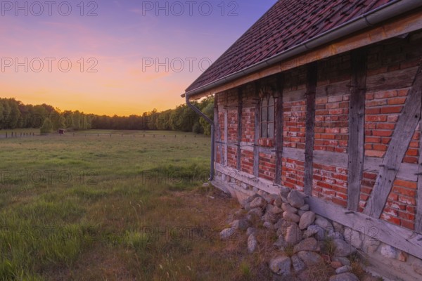 View along an outer wall of a half-timbered barn standing on a pasture in the sunset, meadow, spring, awakening, new, colours, season, landscape photo, nature photo, flora, fauna, landscape format, pasture, grasses, lowland, sky, clouds, Stöckse, Steimbke, Nienburg Weser, Lower Saxony, Germany
