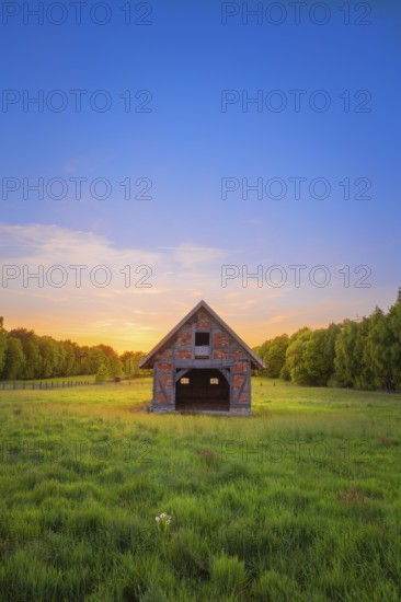 View of an open half-timbered barn standing on a pasture in the sunset, meadow, spring, awakening, new, colours, season, landscape photo, nature photo, flora, fauna, landscape format, pasture, grasses, lowland, sky, clouds, Stöckse, Steimbke, Nienburg Weser, Lower Saxony, Germany