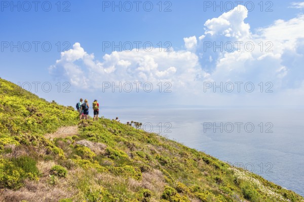 Group of hikers standing and looking out over the sea towards the horizon on a coastal footpath on a beautiful sunny summer day, Crozon Peninsula, Bretagne, France