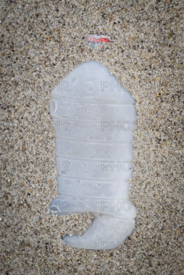 Plastic bottle with red cap lying in the sand on the beach, symbolising pollution and human waste, RingkÃ¸bing Fjord, Jutland, Denmark