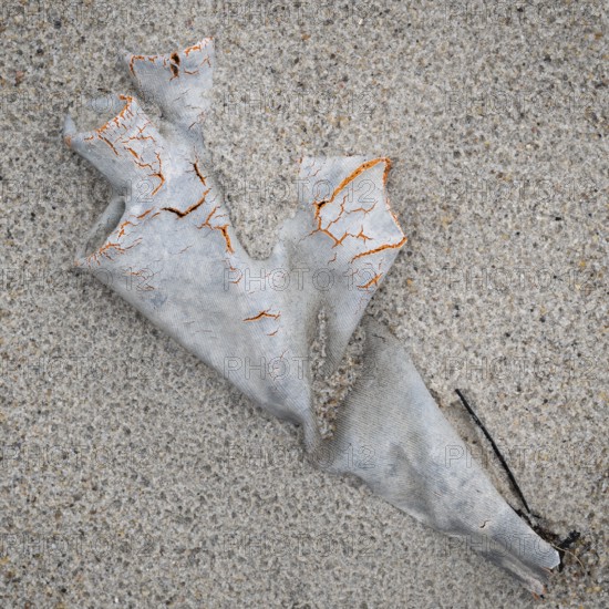 Old plastic glove in the sand with visible cracks, symbolising pollution and human waste, beach, RingkÃ¸bing Fjord, Jutland, Denmark