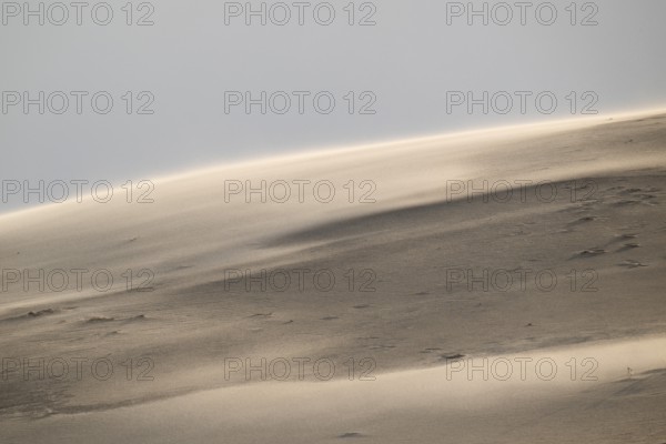Curved sand dune in strong winds, near Hvide Sande, Jutland, Denmark