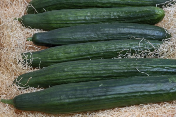 Cucumbers