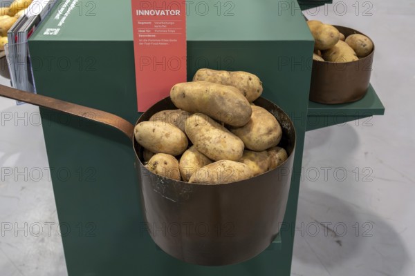 Potatoes Innovator