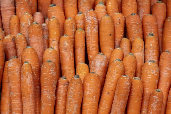 Carrots