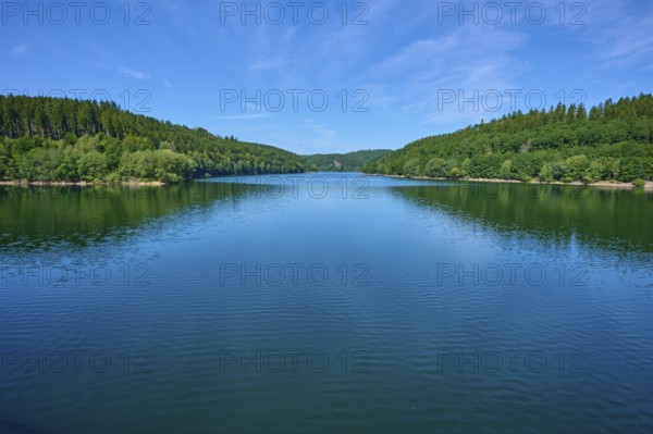 A wide view over a calm lake surrounded by dense forests under a blue sky, Oleftalsperre, Hellenthal, Eifel, North Rhine-Westphalia, Germany