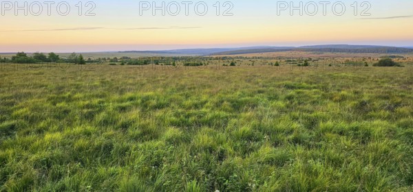 A wide moor landscape with a view of a sky illuminated by the colours of the sunset, summer, High Fens, Eifel National Park, MÃ¼tzenich, Waimes, LiÃ¨ge, Belgium
