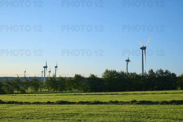 Wind turbines stand on a green meadow under a blue sky, surrounded by trees, summer, pipes, Monschau, Eifel, North Rhine-Westphalia, Germany