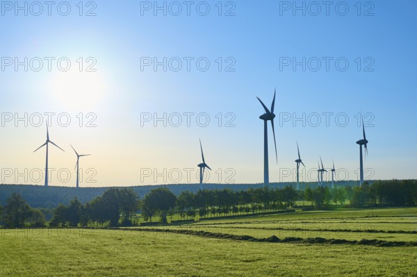 Wind turbines stretch under a sunny sky over a green landscape, summer, Rohren, Monschau, Eifel, North Rhine-Westphalia, Germany