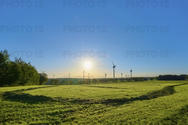 A group of wind turbines rises above a wide meadow in the light-flooded morning sky, summer, Rohren, Monschau, Eifel, North Rhine-Westphalia, Germany
