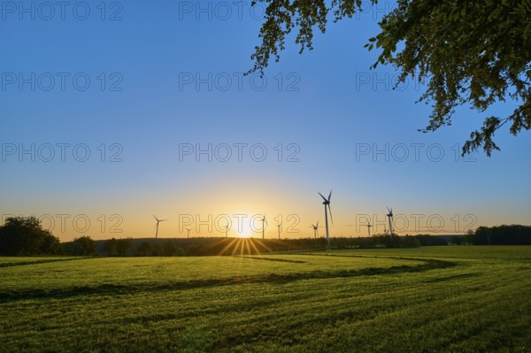 Wind turbines stand in a meadow while the sun rises gently on the horizon and provides light, summer, Rohren, Monschau, Eifel, North Rhine-Westphalia, Germany