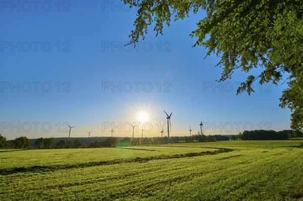 Early morning light illuminates the meadow and the wind turbines against a cloudless blue sky, summer, Rohren, Monschau, Eifel, North Rhine-Westphalia, Germany