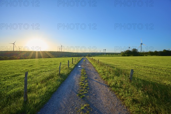 Field path with wind turbines in the background at sunrise, surrounded by green meadows, summer, Rohren, Monschau, Eifel, North Rhine-Westphalia, Germany
