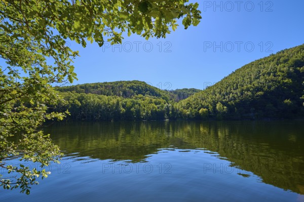 Clear blue sky over a calm lake, surrounded by green forest landscape, summer, Rursee, Obersee, Simmerath, Eifel National Park, North Rhine-Westphalia, Germany