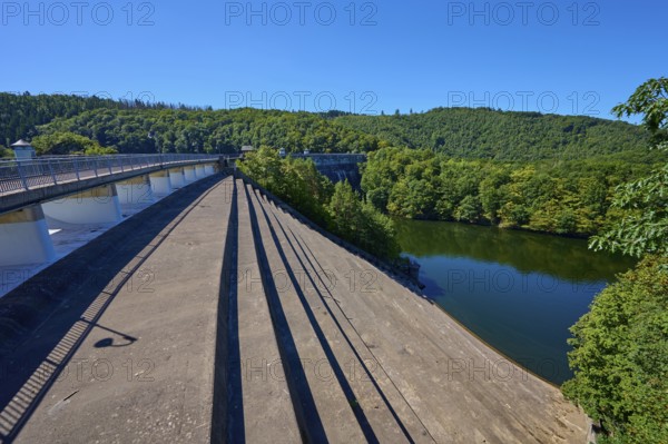 View of a large dam with dense forest under a clear blue sky, summer, Urft dam wall, Obersee, Urftsee, Schleiden, Eifel National Park, Eifel, North Rhine-Westphalia, Germany