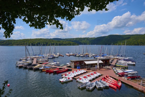Boats and pedal boats on a jetty in a natural lake environment, summer, Rursee, Rurtalsperre, Heimbach, Simmerath, Eifel National Park, North Rhine-Westphalia, Germany