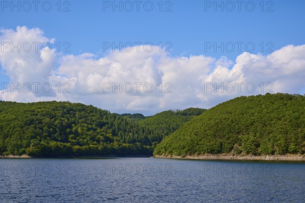 Calm lake with wooded shores and clouds in the blue sky, summer, Rursee, Rurtalsperre, Simmerath, Eifel National Park, North Rhine-Westphalia, Germany