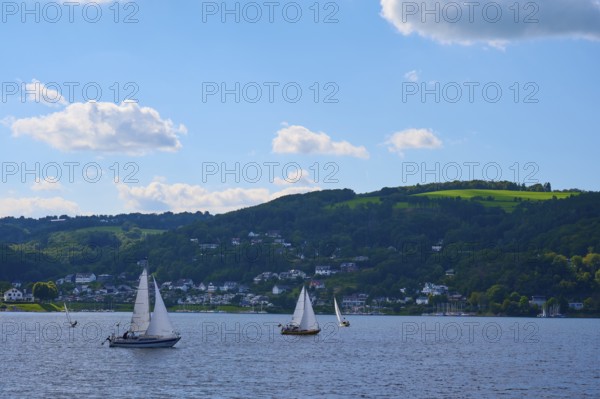 Sailing boats on a calm lake, surrounded by green hills and white cloudy sky, summer, Rursee, Rurtalsperre, Simmerath, Eifel National Park, North Rhine-Westphalia, Germany