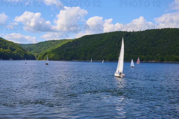 Several sailing boats gliding on a calm lake, with white clouds and blue sky, summer, Rursee, Rurtalsperre, Simmerath, Eifel National Park, North Rhine-Westphalia, Germany
