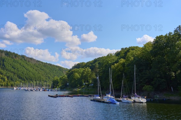Yachts and sailing boats resting on a small jetty in a wooded setting, summer, Rursee, Rurtalsperre, Simmerath, Eifel National Park, North Rhine-Westphalia, Germany