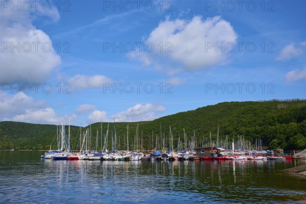 Harbour with many sailing boats in front of wooded hills, summer, Rursee, Rurtalsperre, Heimbach, Simmerath, Eifel National Park, North Rhine-Westphalia, Germany