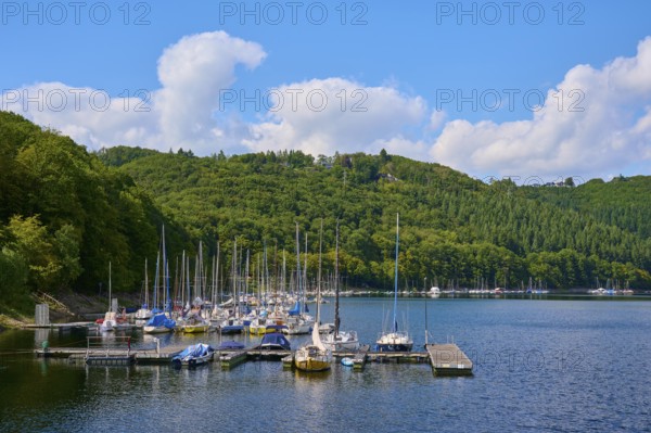 Many sailing boats in a small harbour at the edge of the forest, summer, Rursee, Rurtalsperre, Simmerath, Eifel National Park, North Rhine-Westphalia, Germany