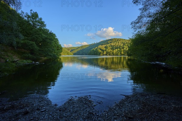 Calm lake with wooded shores under a clear sky, light clouds passing by, summer, Rursee, Obersee, Simmerath, Eifel National Park, North Rhine-Westphalia, Germany