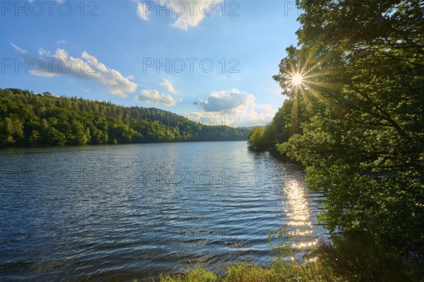 Sunbeams through trees on a calm lake, summer, Rursee, Obersee, Simmerath, Eifel National Park, North Rhine-Westphalia, Germany